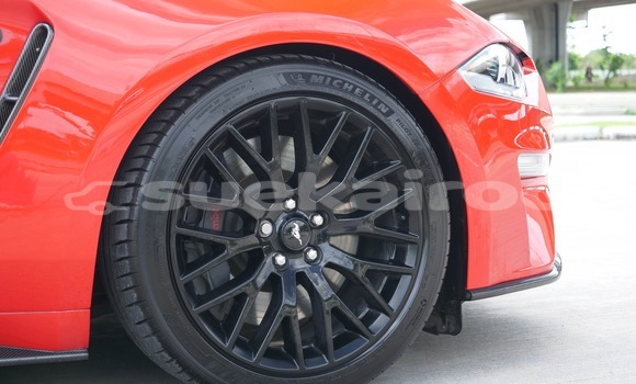 ซื้อ รถมือสอง FORD MUSTANG อื่น ๆ รถยนต์ ใน %{เมือง} ใน กรุงเทพมหานคร ซื้อ รถมือสอง FORD MUSTANG อื่น ๆ รถยนต์ ใน %{เมือง} ใน กรุงเทพมหานคร