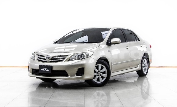 Buy Used Toyota Altis Brown Car in Bangkok in Bangkok