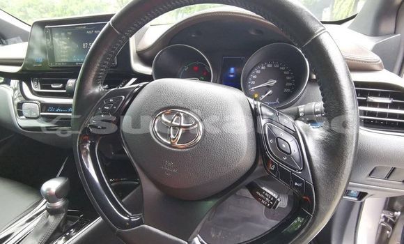 Buy Used Toyota C-HR Other Car in Bangkok in Bangkok