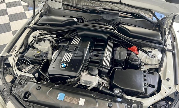 Buy Used BMW 5âSeries White Car in Bangkok in Bangkok Buy Used BMW 5âSeries White Car in Bangkok in Bangkok