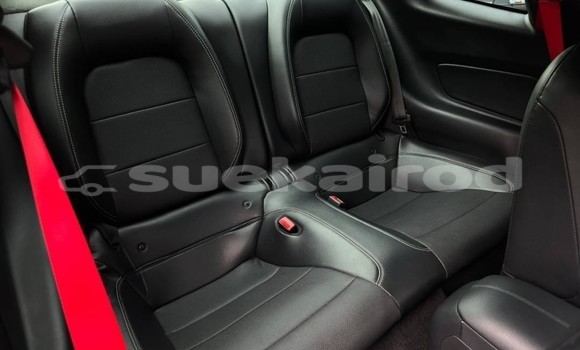 ซื้อ รถมือสอง Ford Mustang เขียว รถยนต์ ใน %{เมือง} ใน กรุงเทพมหานคร ซื้อ รถมือสอง Ford Mustang เขียว รถยนต์ ใน %{เมือง} ใน กรุงเทพมหานคร