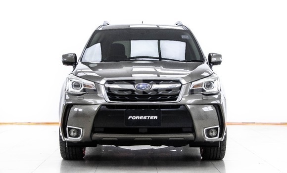 Buy Used Subaru Forester Brown Car in Bangkok in Bangkok