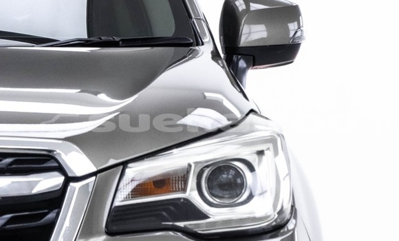 ซื้อ รถมือสอง Subaru Forester สีน้ำตาล รถยนต์ ใน %{เมือง} ใน กรุงเทพมหานคร ซื้อ รถมือสอง Subaru Forester สีน้ำตาล รถยนต์ ใน %{เมือง} ใน กรุงเทพมหานคร