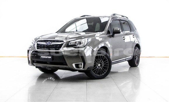 ซื้อ รถมือสอง Subaru Forester สีน้ำตาล รถยนต์ ใน %{เมือง} ใน กรุงเทพมหานคร ซื้อ รถมือสอง Subaru Forester สีน้ำตาล รถยนต์ ใน %{เมือง} ใน กรุงเทพมหานคร