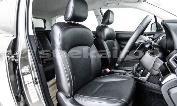 ซื้อ รถมือสอง Subaru Forester สีน้ำตาล รถยนต์ ใน %{เมือง} ใน กรุงเทพมหานคร ซื้อ รถมือสอง Subaru Forester สีน้ำตาล รถยนต์ ใน %{เมือง} ใน กรุงเทพมหานคร