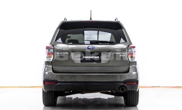 ซื้อ รถมือสอง Subaru Forester สีน้ำตาล รถยนต์ ใน %{เมือง} ใน กรุงเทพมหานคร ซื้อ รถมือสอง Subaru Forester สีน้ำตาล รถยนต์ ใน %{เมือง} ใน กรุงเทพมหานคร