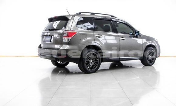 ซื้อ รถมือสอง Subaru Forester สีน้ำตาล รถยนต์ ใน %{เมือง} ใน กรุงเทพมหานคร ซื้อ รถมือสอง Subaru Forester สีน้ำตาล รถยนต์ ใน %{เมือง} ใน กรุงเทพมหานคร