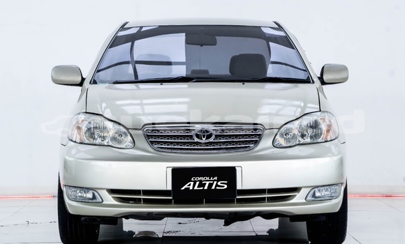 ⭐︎ Adidas x END ZX 8000 Consortium Cup Future UK 5 10 11 12 US