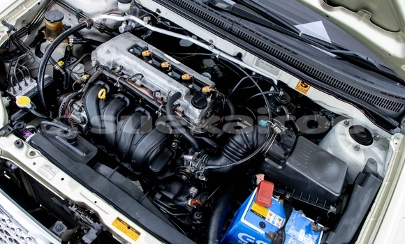 Buy Used Toyota Altis Brown Car in Bangkok in Bangkok Buy Used Toyota Altis Brown Car in Bangkok in Bangkok