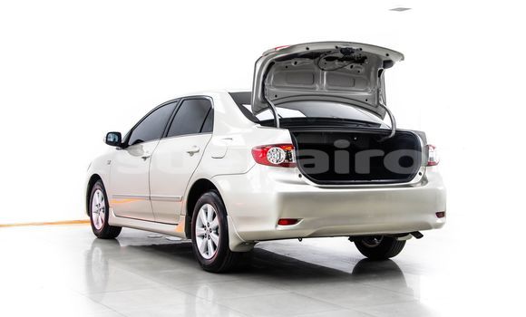 Buy Used Toyota Altis Brown Car in Bangkok in Bangkok Buy Used Toyota Altis Brown Car in Bangkok in Bangkok