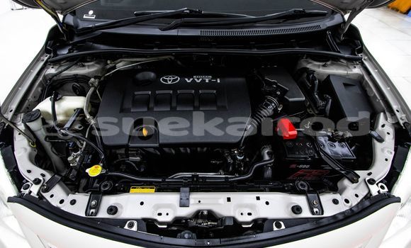 Buy Used Toyota Altis Brown Car in Bangkok in Bangkok Buy Used Toyota Altis Brown Car in Bangkok in Bangkok