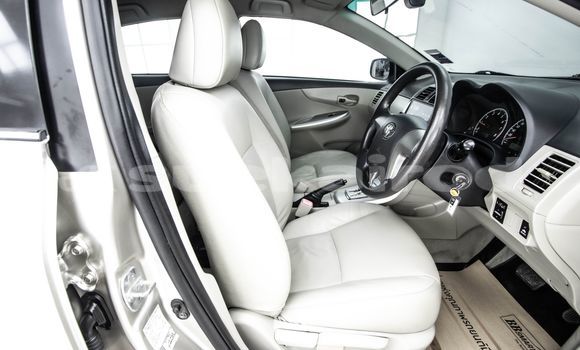 Buy Used Toyota Altis Brown Car in Bangkok in Bangkok Buy Used Toyota Altis Brown Car in Bangkok in Bangkok