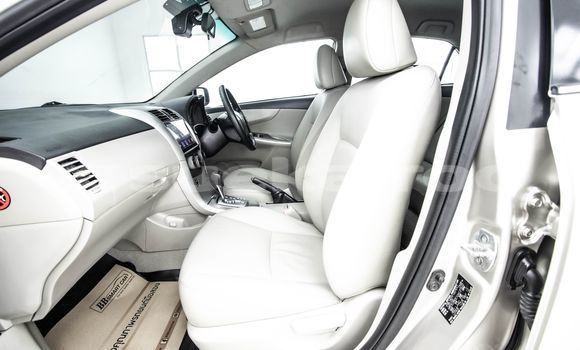 Buy Used Toyota Altis Brown Car in Bangkok in Bangkok Buy Used Toyota Altis Brown Car in Bangkok in Bangkok