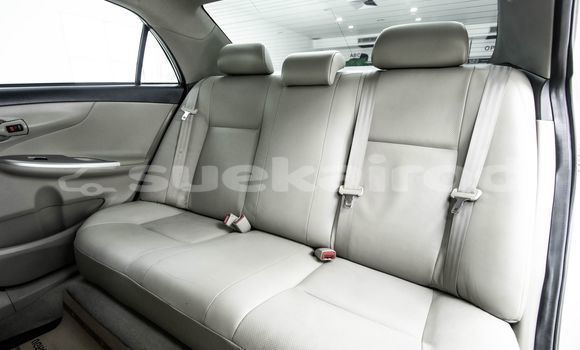 Buy Used Toyota Altis Brown Car in Bangkok in Bangkok Buy Used Toyota Altis Brown Car in Bangkok in Bangkok