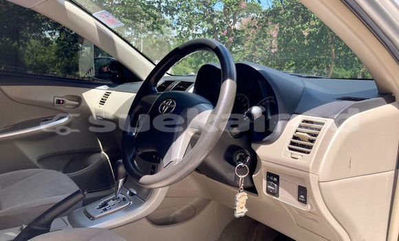 ซื้อ รถมือสอง Toyota Corolla ขาว รถยนต์ ใน %{เมือง} ใน กรุงเทพมหานคร ซื้อ รถมือสอง Toyota Corolla ขาว รถยนต์ ใน %{เมือง} ใน กรุงเทพมหานคร