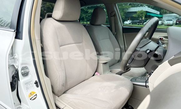 ซื้อ รถมือสอง Toyota Altis ขาว รถยนต์ ใน %{เมือง} ใน กรุงเทพมหานคร ซื้อ รถมือสอง Toyota Altis ขาว รถยนต์ ใน %{เมือง} ใน กรุงเทพมหานคร