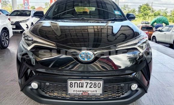 Buy Used Toyota C-HR Black Car in Bangkok in Bangkok