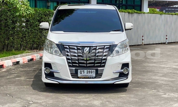 Buy Used Toyota Alphard White Car in Bangkok in Bangkok