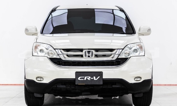 Buy Used Honda CR-V White Car in Bangkok in Bangkok Buy Used Honda CR-V White Car in Bangkok in Bangkok