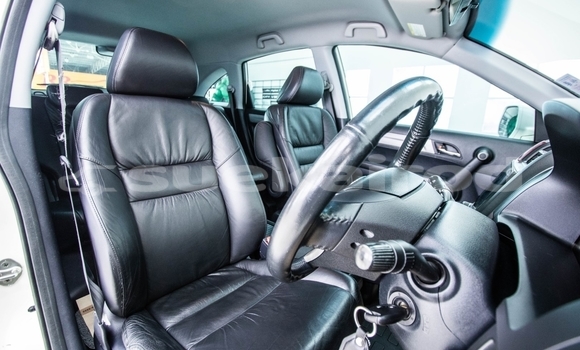 ซื้อ รถมือสอง Honda CR-V ขาว รถยนต์ ใน %{เมือง} ใน กรุงเทพมหานคร ซื้อ รถมือสอง Honda CR-V ขาว รถยนต์ ใน %{เมือง} ใน กรุงเทพมหานคร