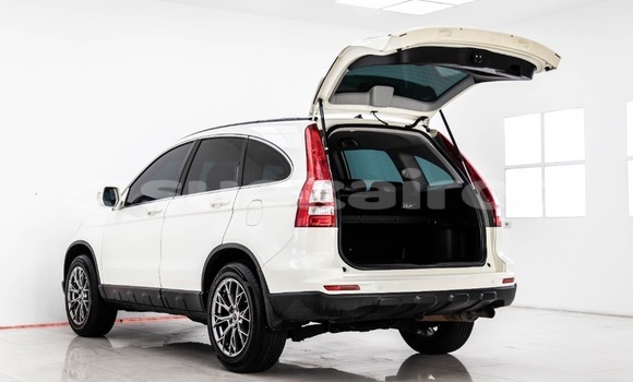 ซื้อ รถมือสอง Honda CR-V ขาว รถยนต์ ใน %{เมือง} ใน กรุงเทพมหานคร ซื้อ รถมือสอง Honda CR-V ขาว รถยนต์ ใน %{เมือง} ใน กรุงเทพมหานคร