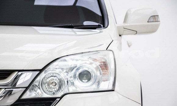 ซื้อ รถมือสอง Honda CR-V ขาว รถยนต์ ใน %{เมือง} ใน กรุงเทพมหานคร ซื้อ รถมือสอง Honda CR-V ขาว รถยนต์ ใน %{เมือง} ใน กรุงเทพมหานคร