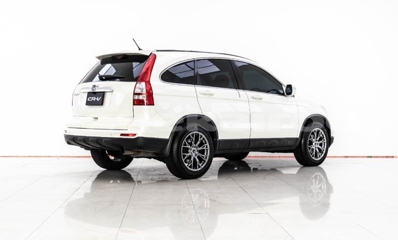 ซื้อ รถมือสอง Honda CR-V ขาว รถยนต์ ใน %{เมือง} ใน กรุงเทพมหานคร ซื้อ รถมือสอง Honda CR-V ขาว รถยนต์ ใน %{เมือง} ใน กรุงเทพมหานคร