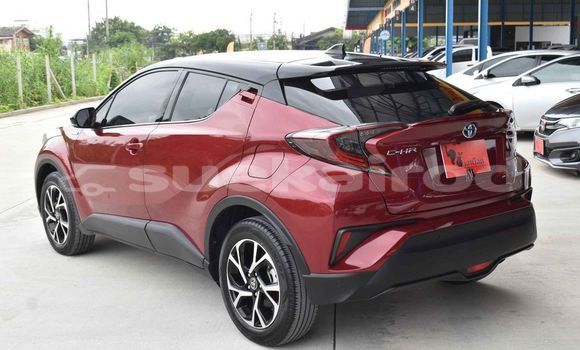 Buy Used Toyota C-HR Red Car in Bangkok in Bangkok Buy Used Toyota C-HR Red Car in Bangkok in Bangkok