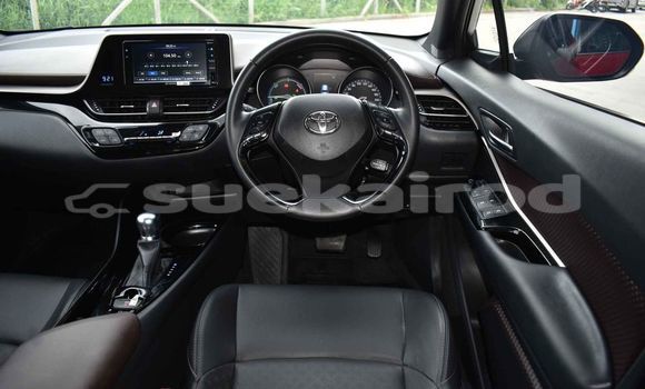 Buy Used Toyota C-HR Red Car in Bangkok in Bangkok Buy Used Toyota C-HR Red Car in Bangkok in Bangkok