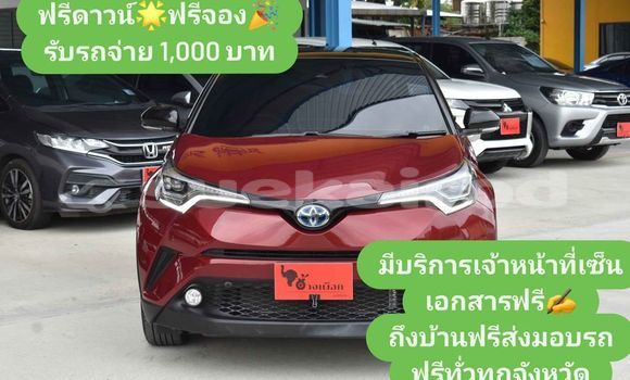 Buy Used Toyota C-HR Red Car in Bangkok in Bangkok Buy Used Toyota C-HR Red Car in Bangkok in Bangkok