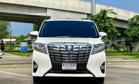Buy Used Toyota Alphard White Car in Bangkok in Bangkok