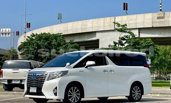 ซื้อ รถมือสอง Toyota Alphard ขาว รถยนต์ ใน %{เมือง} ใน กรุงเทพมหานคร ซื้อ รถมือสอง Toyota Alphard ขาว รถยนต์ ใน %{เมือง} ใน กรุงเทพมหานคร