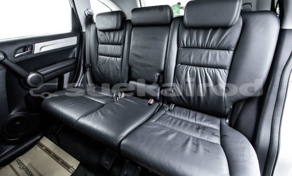 Buy Used Honda CR-V Other Car in Bangkok in Bangkok Buy Used Honda CR-V Other Car in Bangkok in Bangkok