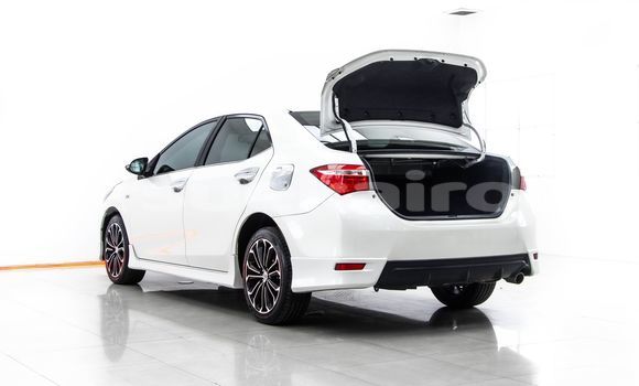 Buy Used Toyota Altis White Car in Bangkok in Bangkok Buy Used Toyota Altis White Car in Bangkok in Bangkok