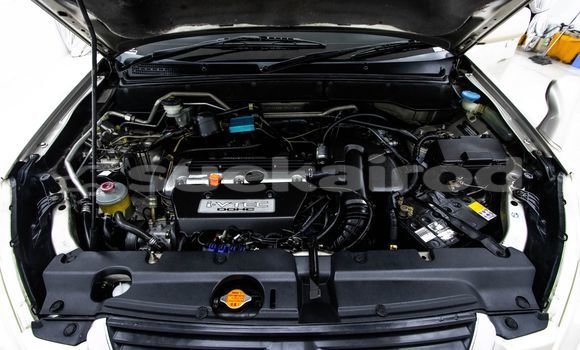 Buy Used Honda CR-V Brown Car in Bangkok in Bangkok Buy Used Honda CR-V Brown Car in Bangkok in Bangkok