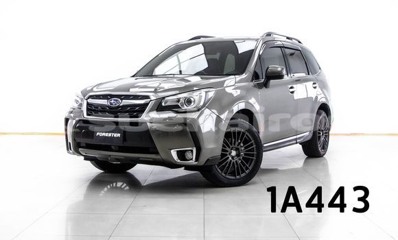 ซื้อ รถมือสอง Subaru Forester สีน้ำตาล รถยนต์ ใน %{เมือง} ใน กรุงเทพมหานคร ซื้อ รถมือสอง Subaru Forester สีน้ำตาล รถยนต์ ใน %{เมือง} ใน กรุงเทพมหานคร