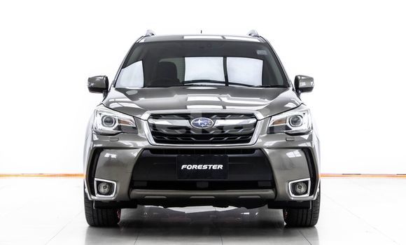 ซื้อ รถมือสอง Subaru Forester สีน้ำตาล รถยนต์ ใน %{เมือง} ใน กรุงเทพมหานคร ซื้อ รถมือสอง Subaru Forester สีน้ำตาล รถยนต์ ใน %{เมือง} ใน กรุงเทพมหานคร
