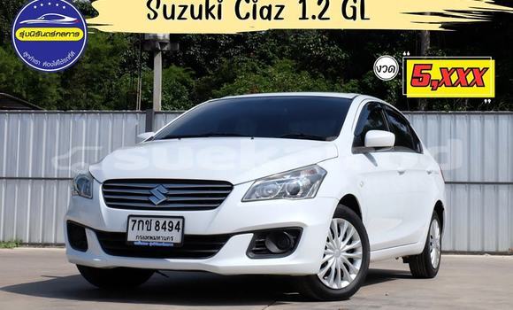 Buy Used Suzuki Ciaz White Car in Udon Thani in Udon Thani
