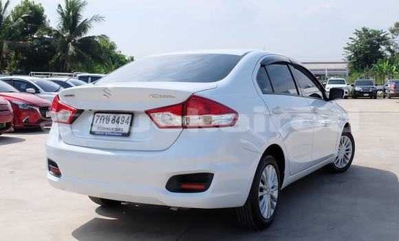 ซื้อ รถมือสอง Suzuki Ciaz ขาว รถยนต์ ใน %{เมือง} ใน อุดรธานี ซื้อ รถมือสอง Suzuki Ciaz ขาว รถยนต์ ใน %{เมือง} ใน อุดรธานี