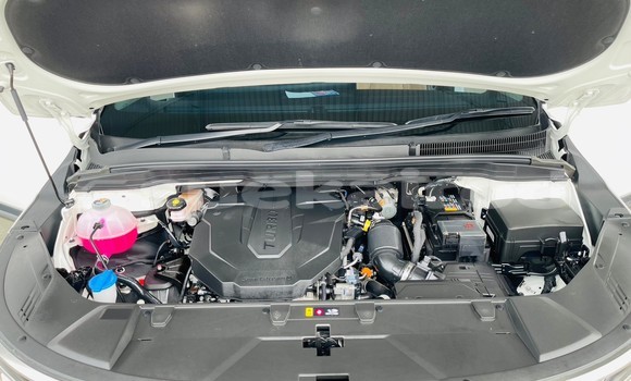 Buy Used Kia Carnival White Car in Bangkok in Bangkok Buy Used Kia Carnival White Car in Bangkok in Bangkok