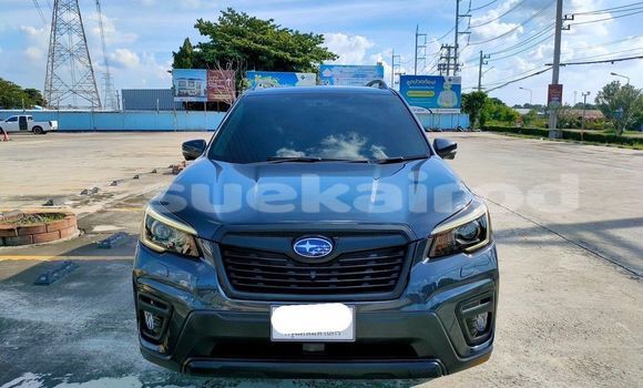Buy Used Subaru Forester Black Car in Bangkok in Bangkok