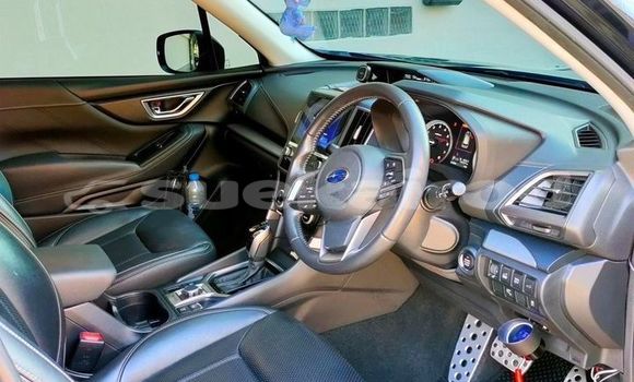 ซื้อ รถมือสอง Subaru Forester สีดำ รถยนต์ ใน %{เมือง} ใน กรุงเทพมหานคร ซื้อ รถมือสอง Subaru Forester สีดำ รถยนต์ ใน %{เมือง} ใน กรุงเทพมหานคร