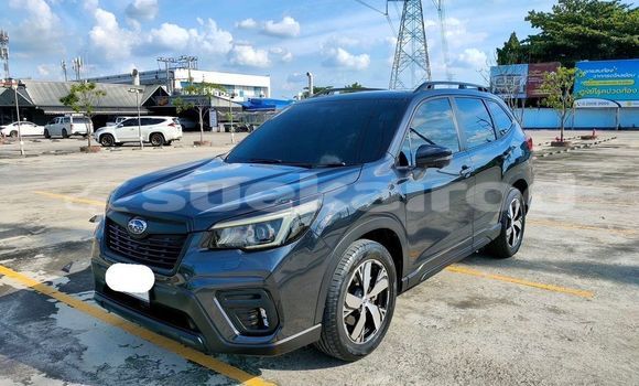 ซื้อ รถมือสอง Subaru Forester สีดำ รถยนต์ ใน %{เมือง} ใน กรุงเทพมหานคร ซื้อ รถมือสอง Subaru Forester สีดำ รถยนต์ ใน %{เมือง} ใน กรุงเทพมหานคร