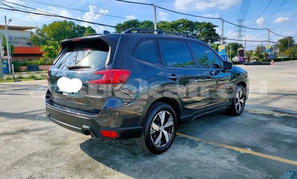 ซื้อ รถมือสอง Subaru Forester สีดำ รถยนต์ ใน %{เมือง} ใน กรุงเทพมหานคร ซื้อ รถมือสอง Subaru Forester สีดำ รถยนต์ ใน %{เมือง} ใน กรุงเทพมหานคร