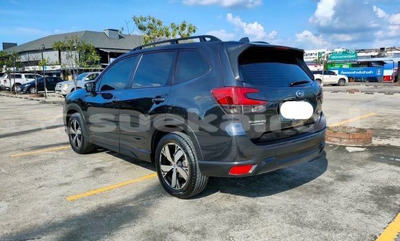 ซื้อ รถมือสอง Subaru Forester สีดำ รถยนต์ ใน %{เมือง} ใน กรุงเทพมหานคร ซื้อ รถมือสอง Subaru Forester สีดำ รถยนต์ ใน %{เมือง} ใน กรุงเทพมหานคร