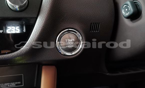 ซื้อ รถมือสอง Lexus RX สีดำ รถยนต์ ใน %{เมือง} ใน กรุงเทพมหานคร ซื้อ รถมือสอง Lexus RX สีดำ รถยนต์ ใน %{เมือง} ใน กรุงเทพมหานคร