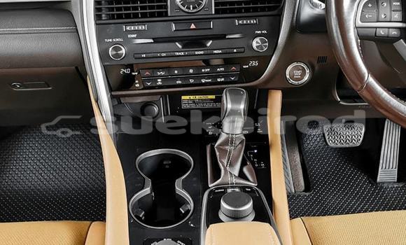 ซื้อ รถมือสอง Lexus RX สีดำ รถยนต์ ใน %{เมือง} ใน กรุงเทพมหานคร ซื้อ รถมือสอง Lexus RX สีดำ รถยนต์ ใน %{เมือง} ใน กรุงเทพมหานคร