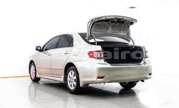 Buy Used Toyota Altis Brown Car in Bangkok in Bangkok Buy Used Toyota Altis Brown Car in Bangkok in Bangkok