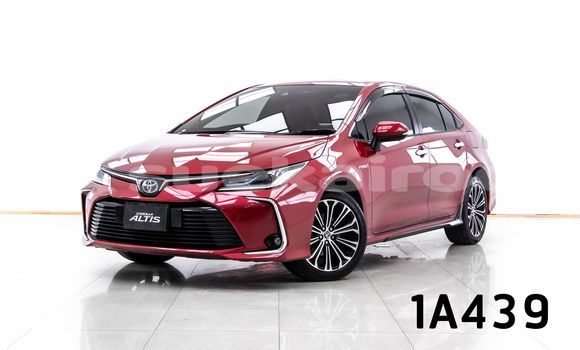 ซื้อ รถมือสอง Toyota Altis สีแดง รถยนต์ ใน %{เมือง} ใน กรุงเทพมหานคร ซื้อ รถมือสอง Toyota Altis สีแดง รถยนต์ ใน %{เมือง} ใน กรุงเทพมหานคร