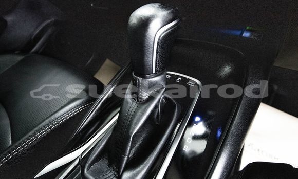 ซื้อ รถมือสอง Toyota Altis สีแดง รถยนต์ ใน %{เมือง} ใน กรุงเทพมหานคร ซื้อ รถมือสอง Toyota Altis สีแดง รถยนต์ ใน %{เมือง} ใน กรุงเทพมหานคร